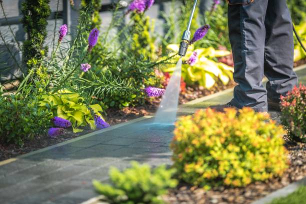 Parkville, MD  Pressure Washing Services Company